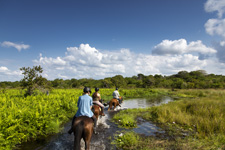 Mozambique-Coast-Mozambique Coastal Paradise Holiday